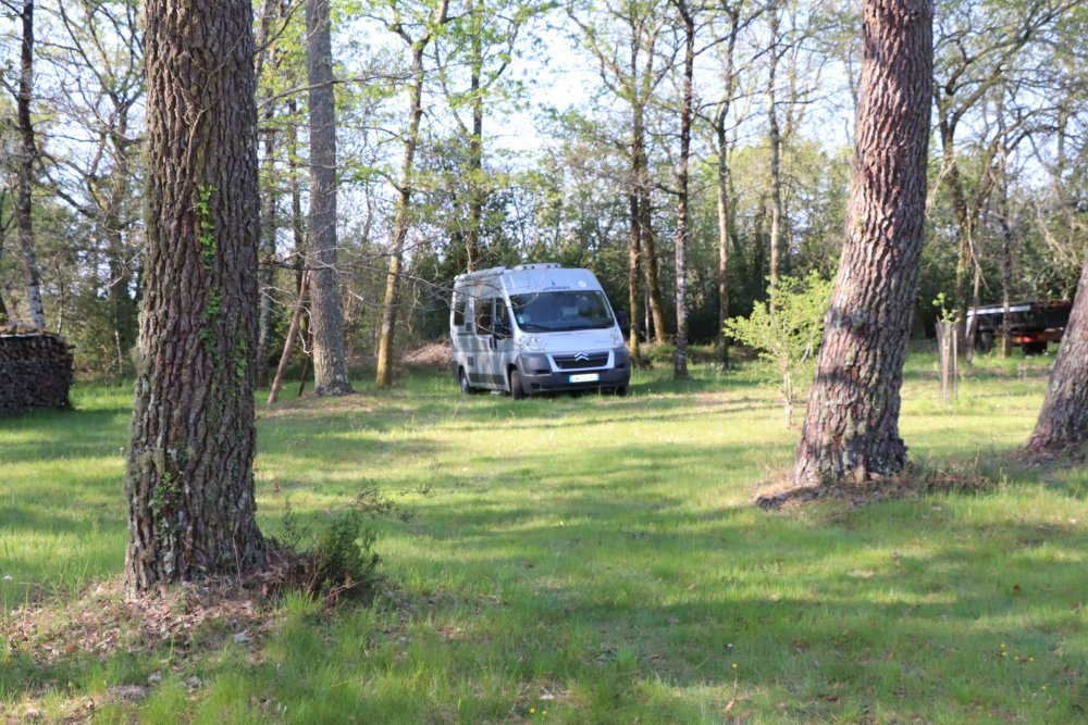 Aire camping-car  Saint-Symphorien (33113) - Photo 3